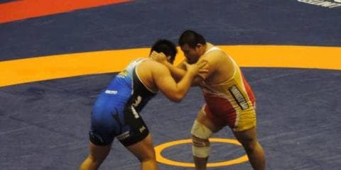 レスリング 競技ガイド