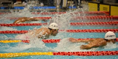 水泳 競技ガイド