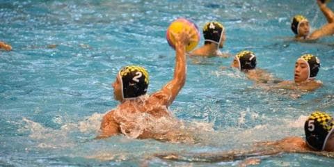 水球 競技ガイド