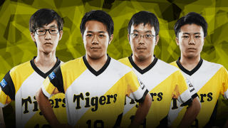 eBASEBALL プロリーグ アンケート〜阪神タイガース〜